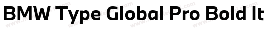 BMW Type Global Pro Bold Italic字体转换